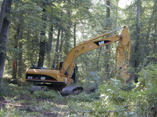 Restoration activities at Duke Forest